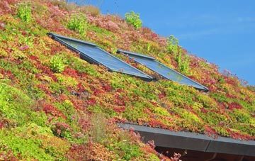 Cuxwold living roof systems